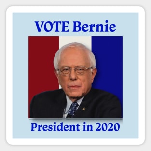 Vote Bernie 2020 Magnet